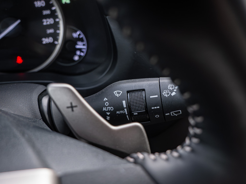 Fahrzeugansicht LEXUS NX 300h Style Edition - Bild 25