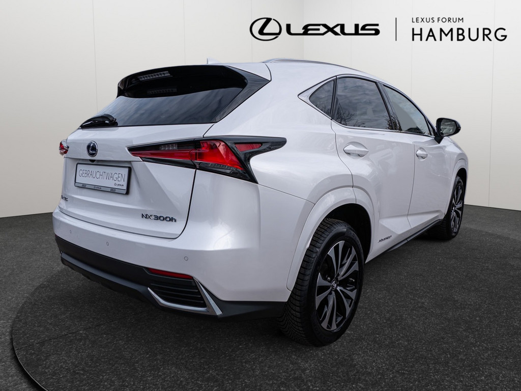 Fahrzeugansicht LEXUS NX 300h Style Edition - Bild 34
