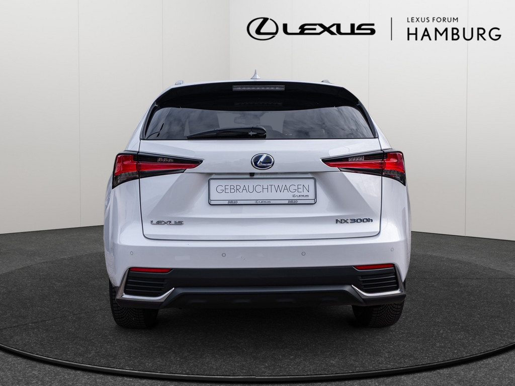 Fahrzeugansicht LEXUS NX 300h Style Edition - Bild 35