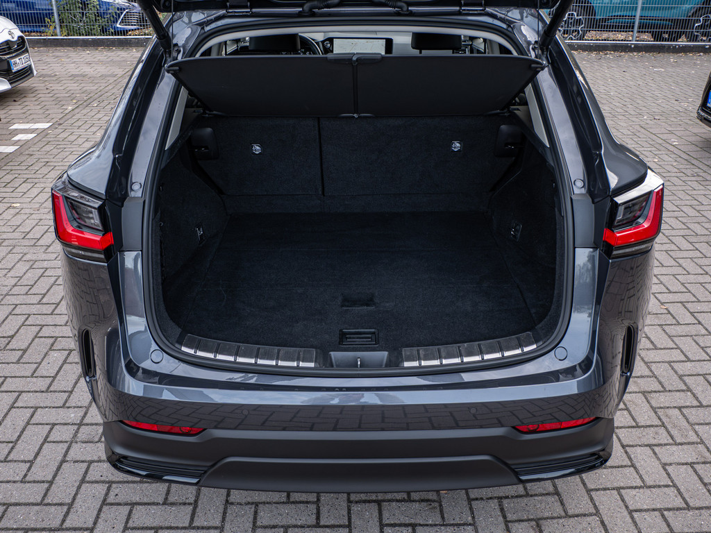 Fahrzeugansicht LEXUS NX 450h + Executive - Bild 10