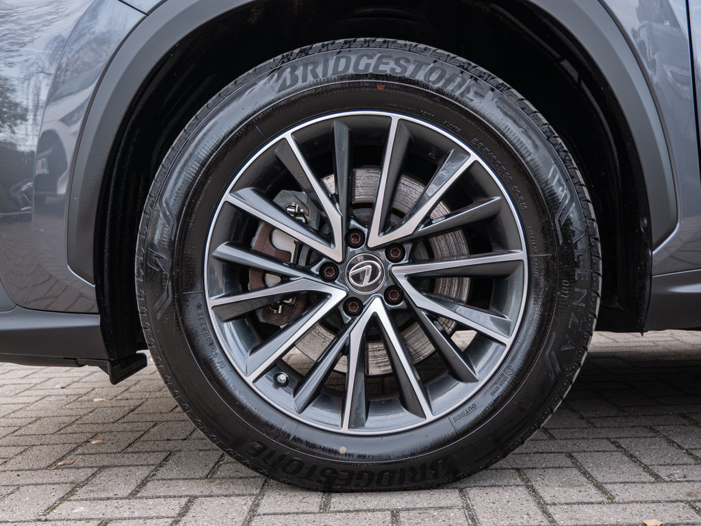 Fahrzeugansicht LEXUS NX 450h + Executive - Bild 41