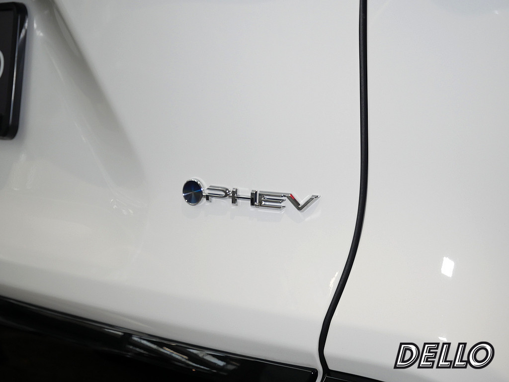 Fahrzeugansicht TOYOTA RAV4 2.5 Plug-in Hybrid 4x4 Teamplayer - Bild 40