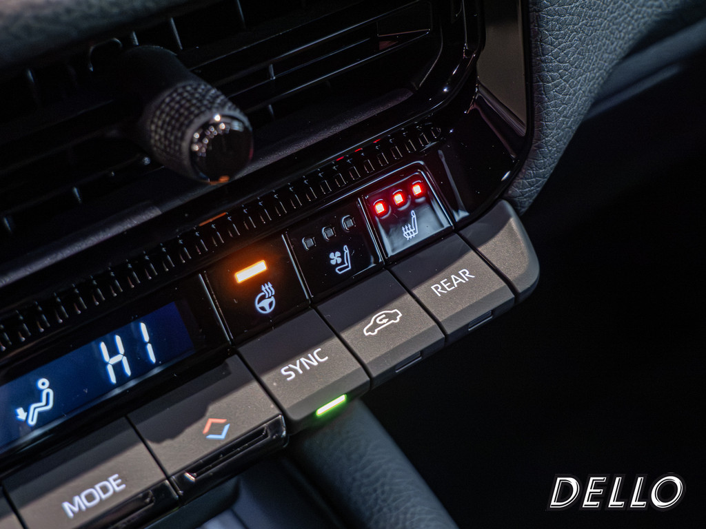 Fahrzeugansicht TOYOTA Land Cruiser 2.8 D-4D Executive - Bild 18