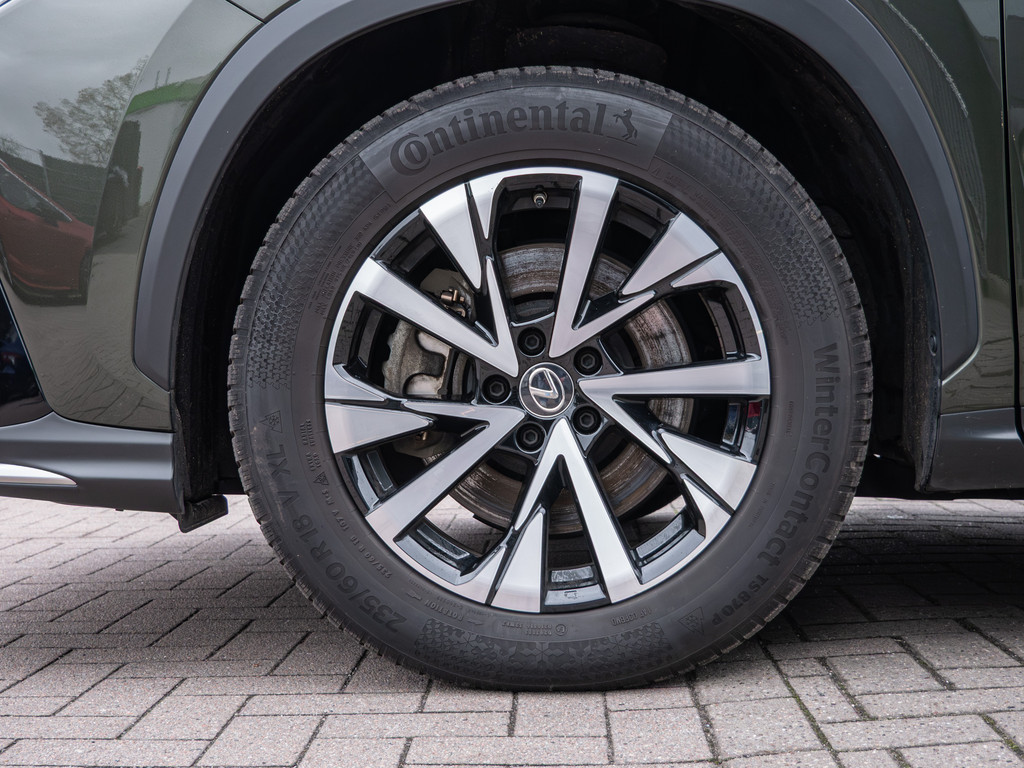 Fahrzeugansicht LEXUS NX 450h + F Sport - Bild 36