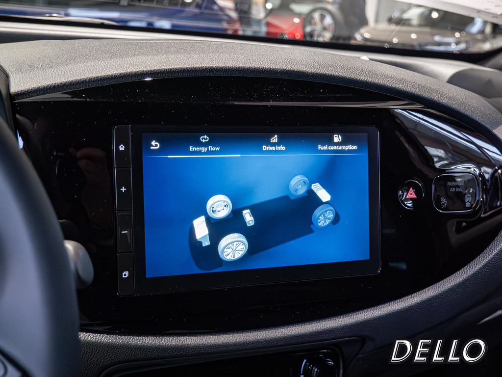 Fahrzeugansicht TOYOTA Solterra Platinum - Bild 11