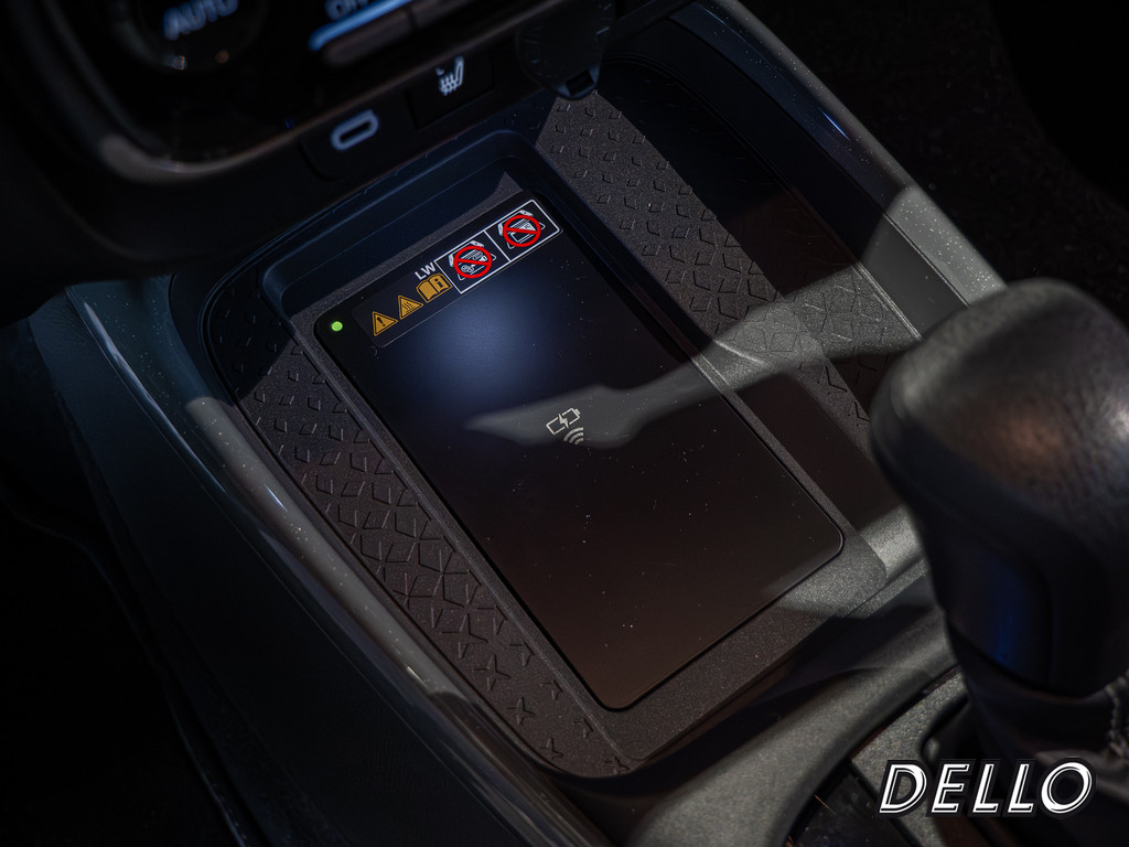 Fahrzeugansicht TOYOTA Solterra Platinum - Bild 18