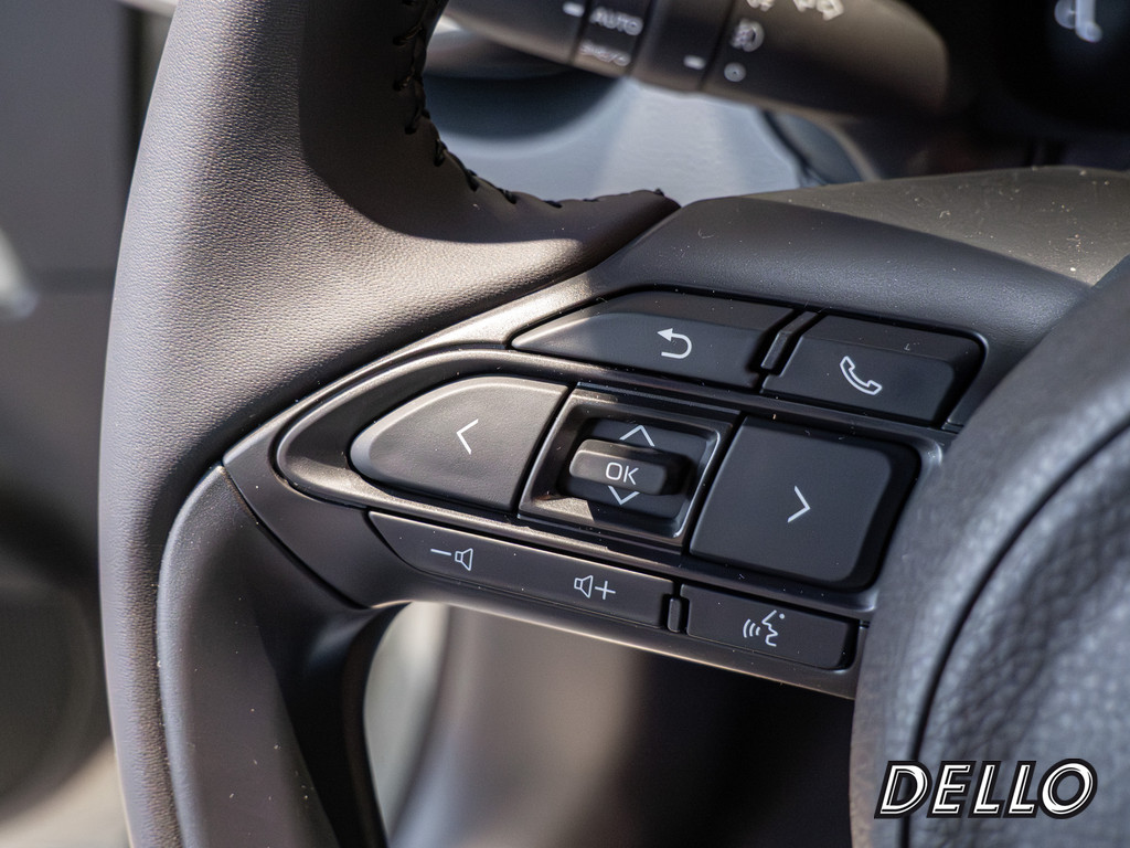 Fahrzeugansicht TOYOTA Solterra Platinum - Bild 28