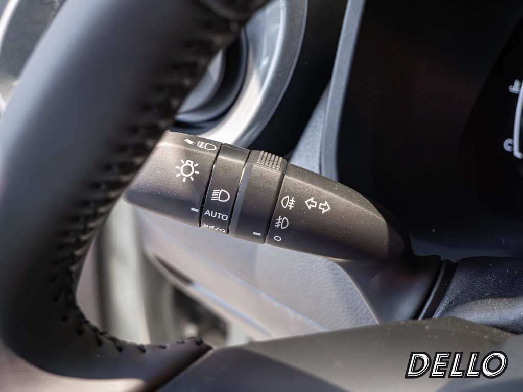 Fahrzeugansicht TOYOTA Solterra Platinum - Bild 29