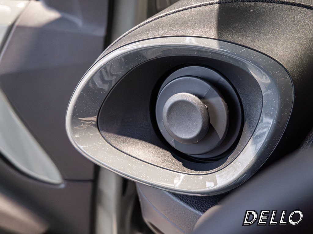 Fahrzeugansicht TOYOTA Solterra Platinum - Bild 30