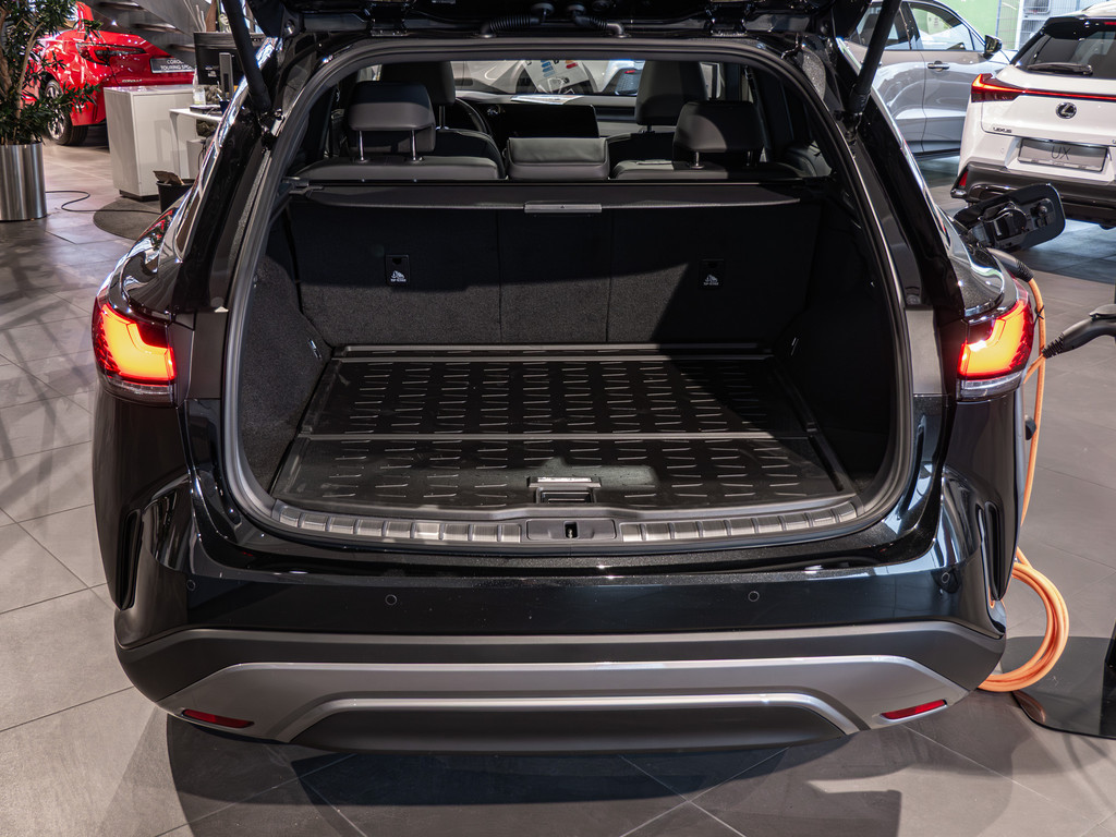 Fahrzeugansicht LEXUS RX 2.5 450 h+ E-Four F Sport Design - Bild 8