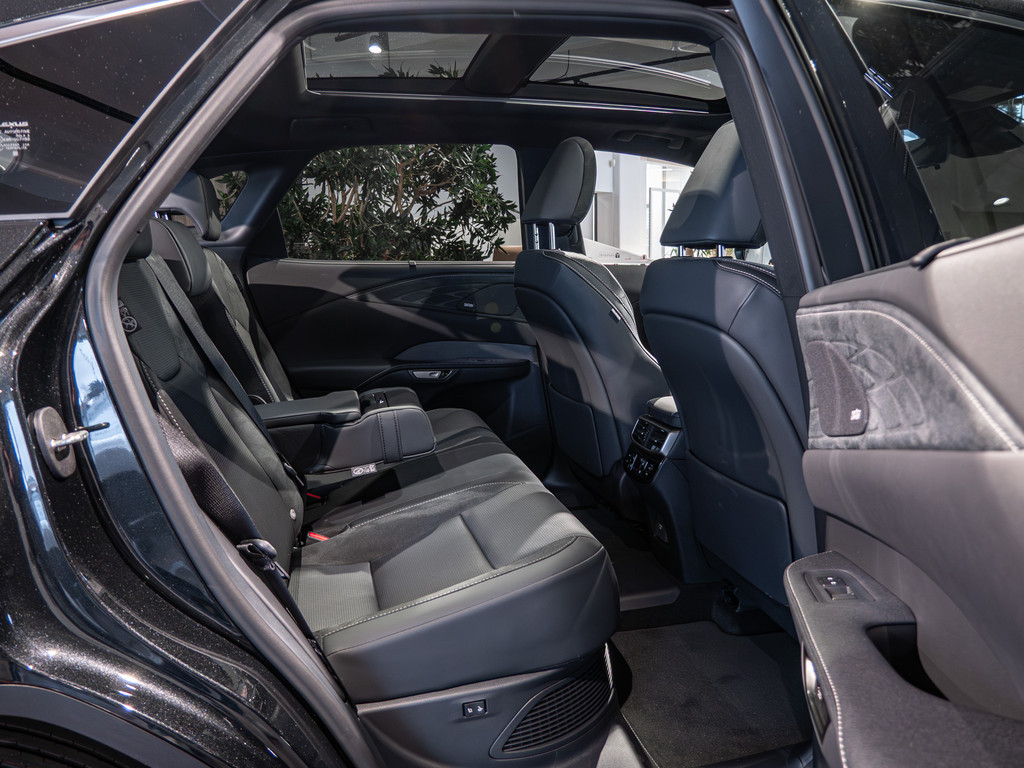 Fahrzeugansicht LEXUS RX 450h + E-Four Luxury - Bild 3