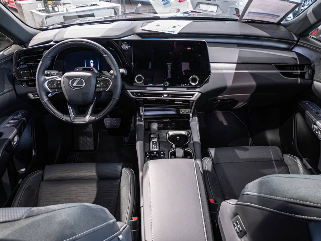 Fahrzeugansicht LEXUS RX 450h + E-Four Luxury - Bild 5