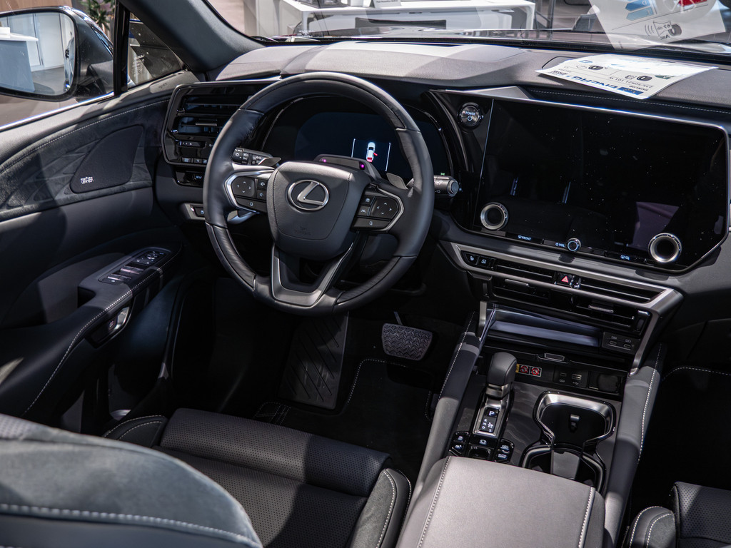 Fahrzeugansicht LEXUS RX 450h + E-Four Luxury - Bild 6