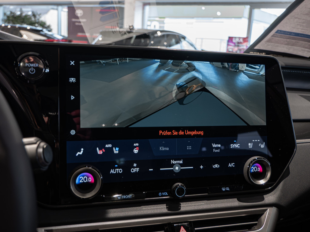 Fahrzeugansicht LEXUS RX 450h + E-Four Luxury - Bild 10