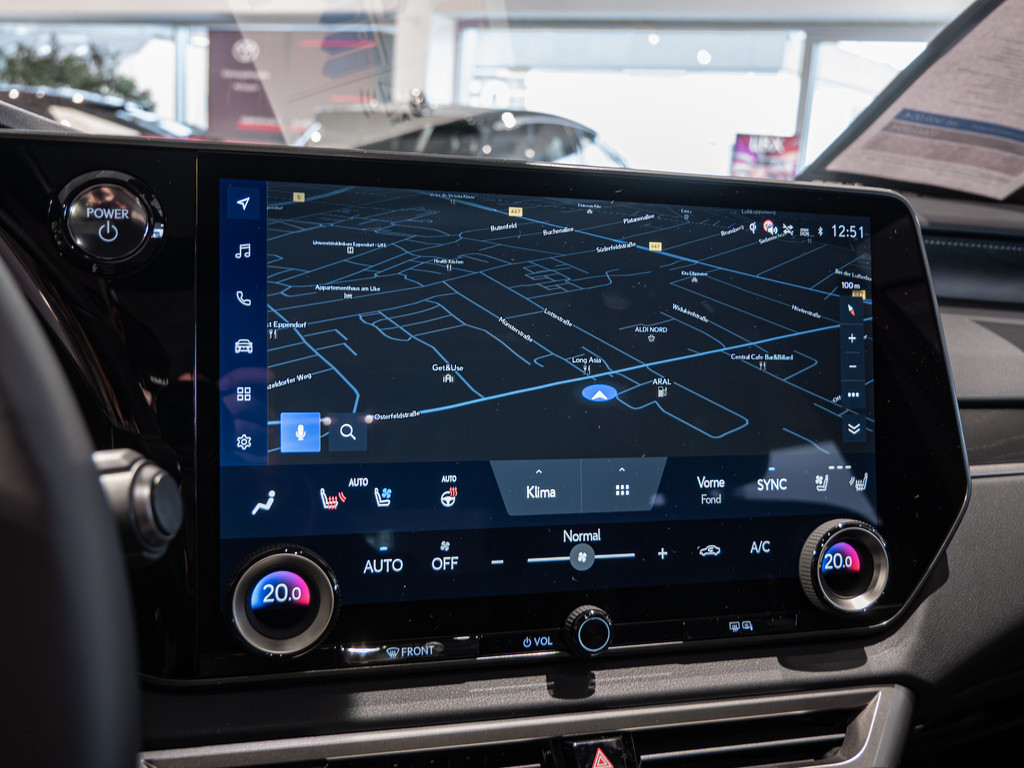 Fahrzeugansicht LEXUS RX 450h + E-Four Luxury - Bild 11