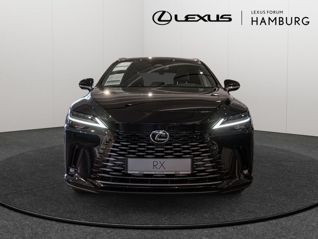Fahrzeugansicht LEXUS RX 450h + E-Four Luxury - Bild 12