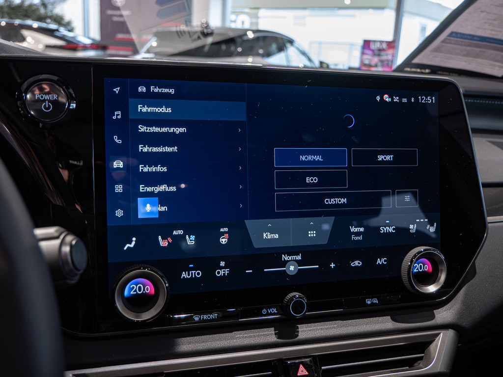 Fahrzeugansicht LEXUS RX 450h + E-Four Luxury - Bild 13