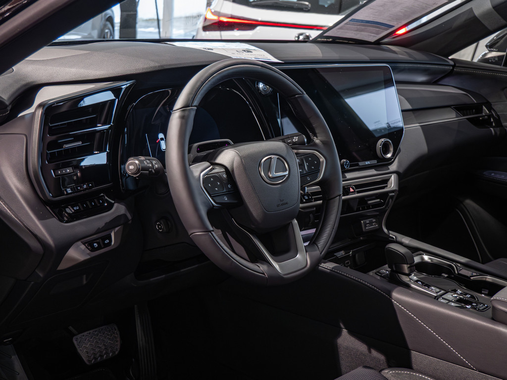 Fahrzeugansicht LEXUS RX 450h + E-Four Luxury - Bild 26