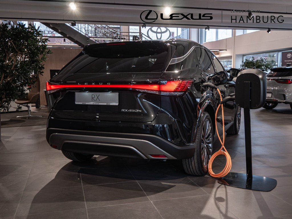 Fahrzeugansicht LEXUS RX 450h + E-Four Luxury - Bild 33
