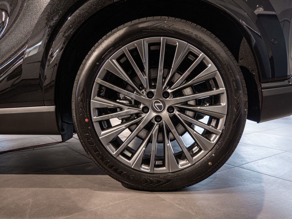 Fahrzeugansicht LEXUS RX 450h + E-Four Luxury - Bild 35