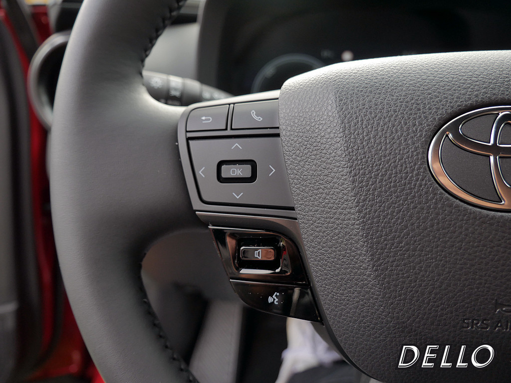 Fahrzeugansicht TOYOTA C-HR 2.0 Plug-In Hybrid FWD Team D - Bild 21