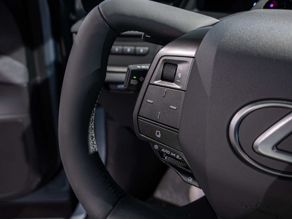 Fahrzeugansicht LEXUS RZ 500 e DIRECT4 Luxury - Bild 26