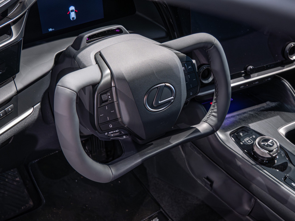 Fahrzeugansicht LEXUS RZ 500 e DIRECT4 Luxury - Bild 28