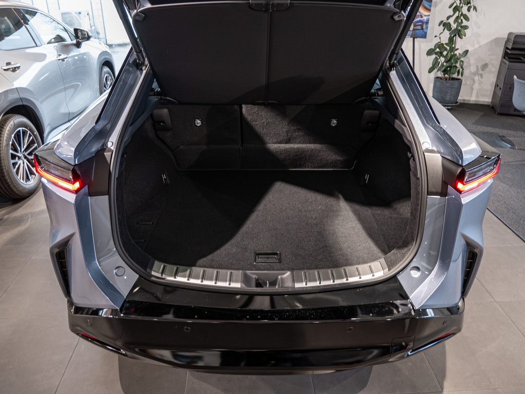 Fahrzeugansicht LEXUS RZ 500 e Luxury - Bild 7