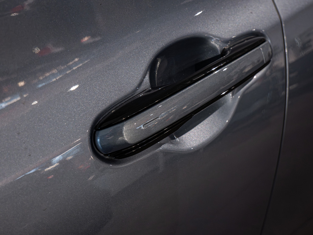 Fahrzeugansicht LEXUS RZ 500 e Luxury - Bild 10