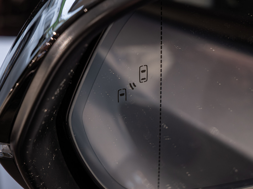 Fahrzeugansicht LEXUS RZ 500 e Luxury - Bild 11