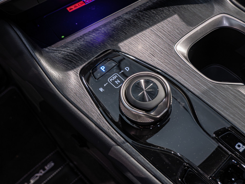 Fahrzeugansicht LEXUS RZ 500 e Luxury - Bild 19