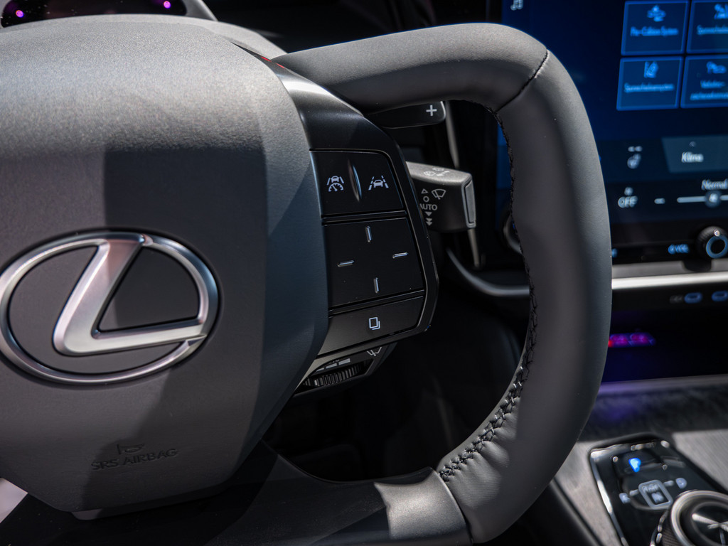 Fahrzeugansicht LEXUS RZ 500 e Luxury - Bild 25