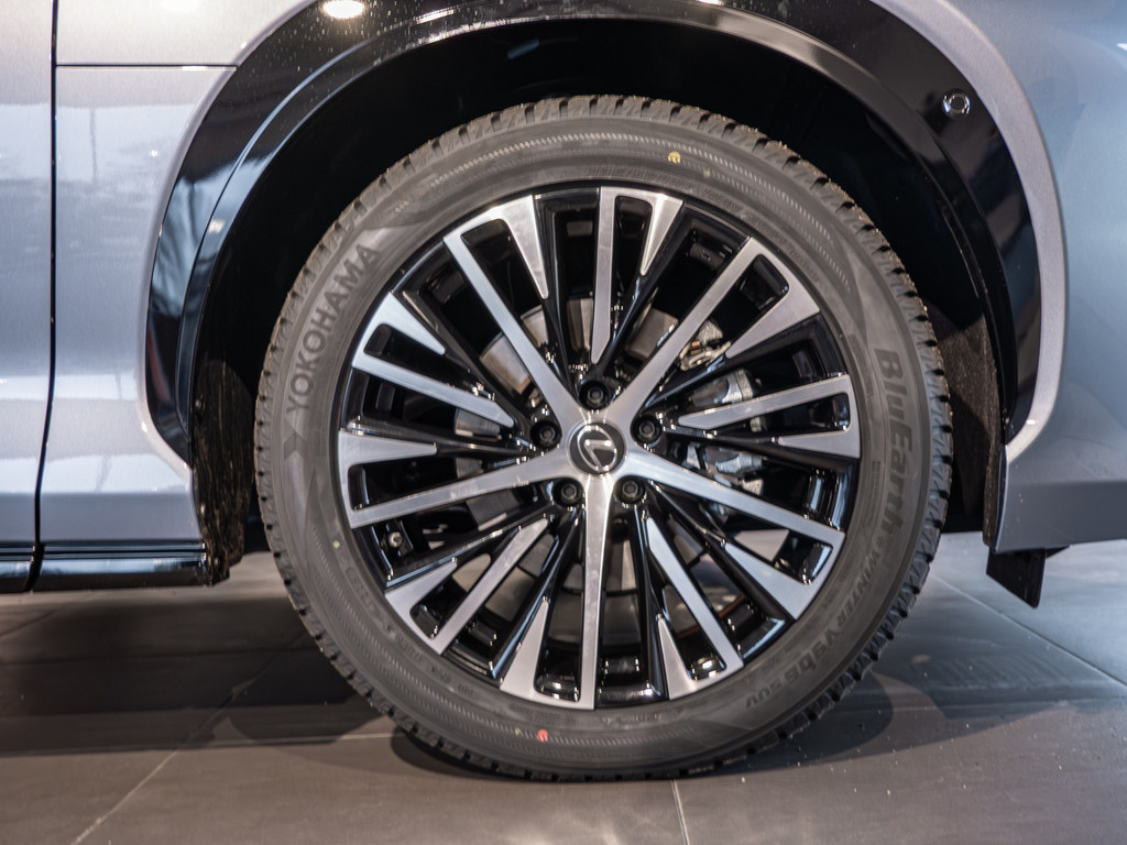 Fahrzeugansicht LEXUS RZ 500 e Luxury - Bild 36