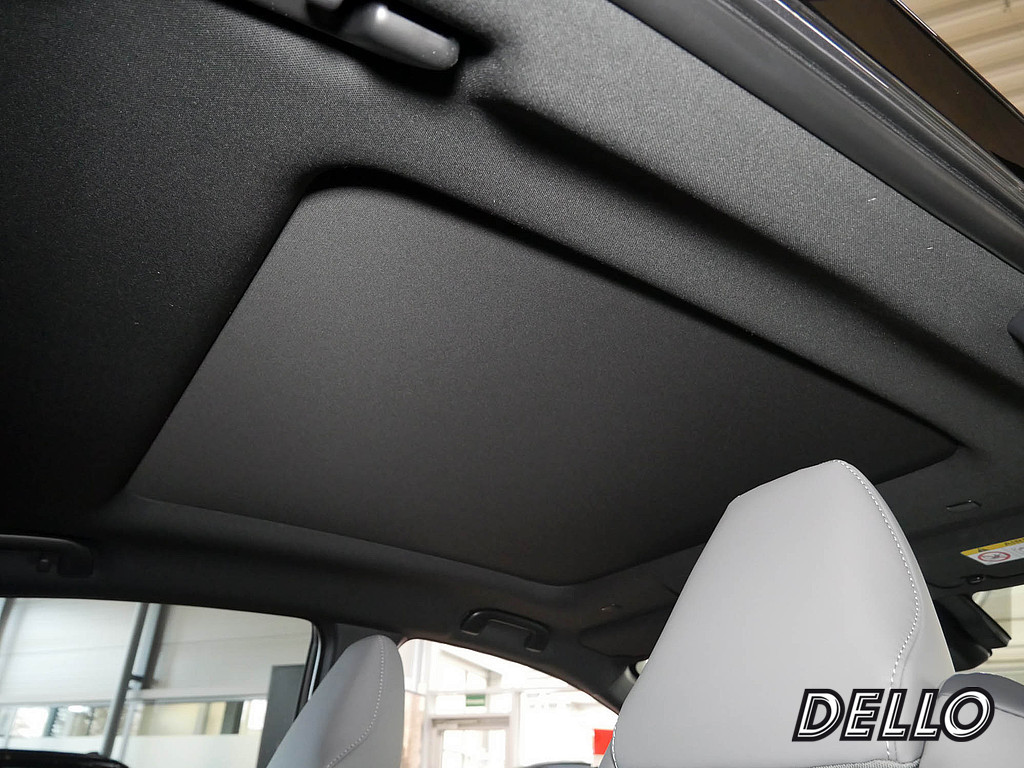 Fahrzeugansicht TOYOTA C-HR+ Lounge - Bild 2