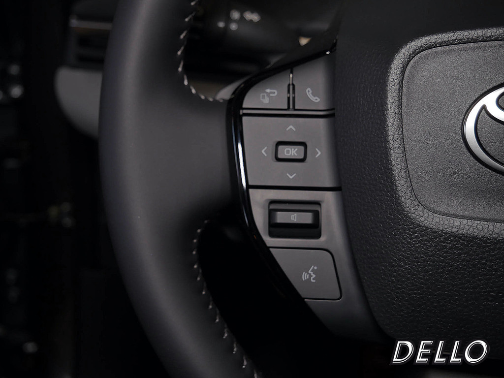 Fahrzeugansicht TOYOTA C-HR+ Lounge - Bild 22