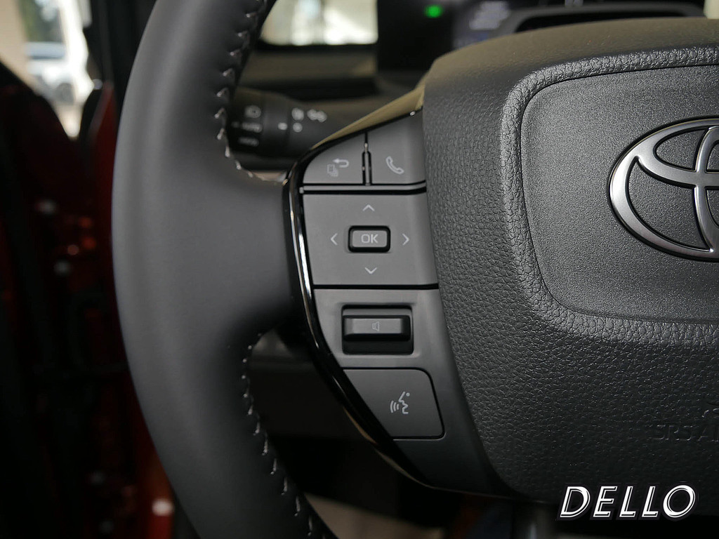 Fahrzeugansicht TOYOTA C-HR+ Lounge - Bild 25