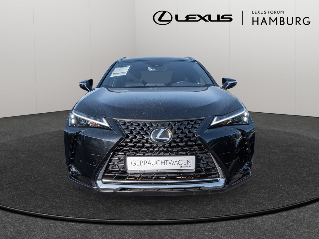 Fahrzeugansicht LEXUS UX 250h Style+ Ed. - Bild 12