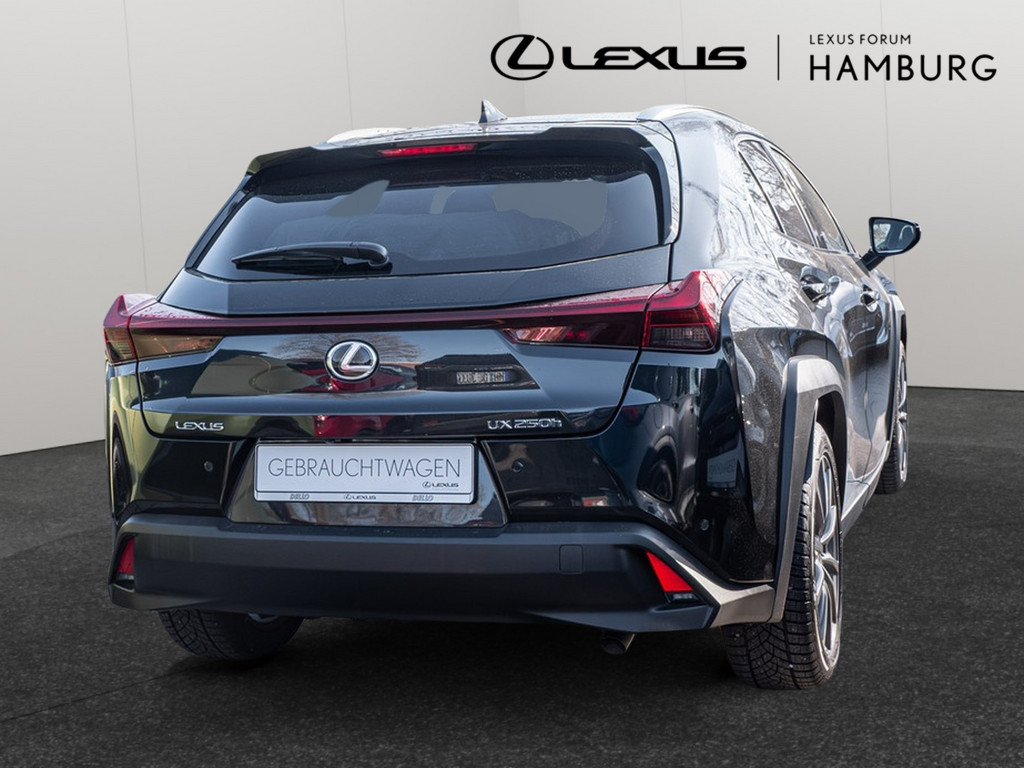 Fahrzeugansicht LEXUS UX 250h Style+ Ed. - Bild 31