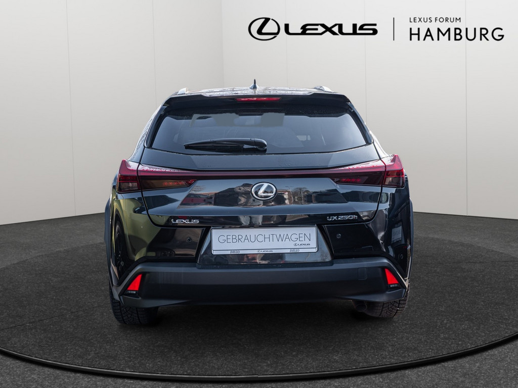 Fahrzeugansicht LEXUS UX 250h Style+ Ed. - Bild 32