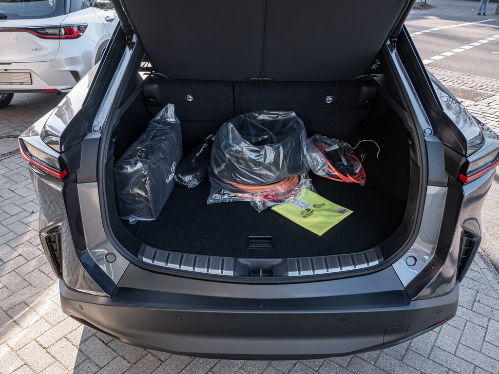 Fahrzeugansicht LEXUS RZ 500e DIRECT4 Executive - Bild 9