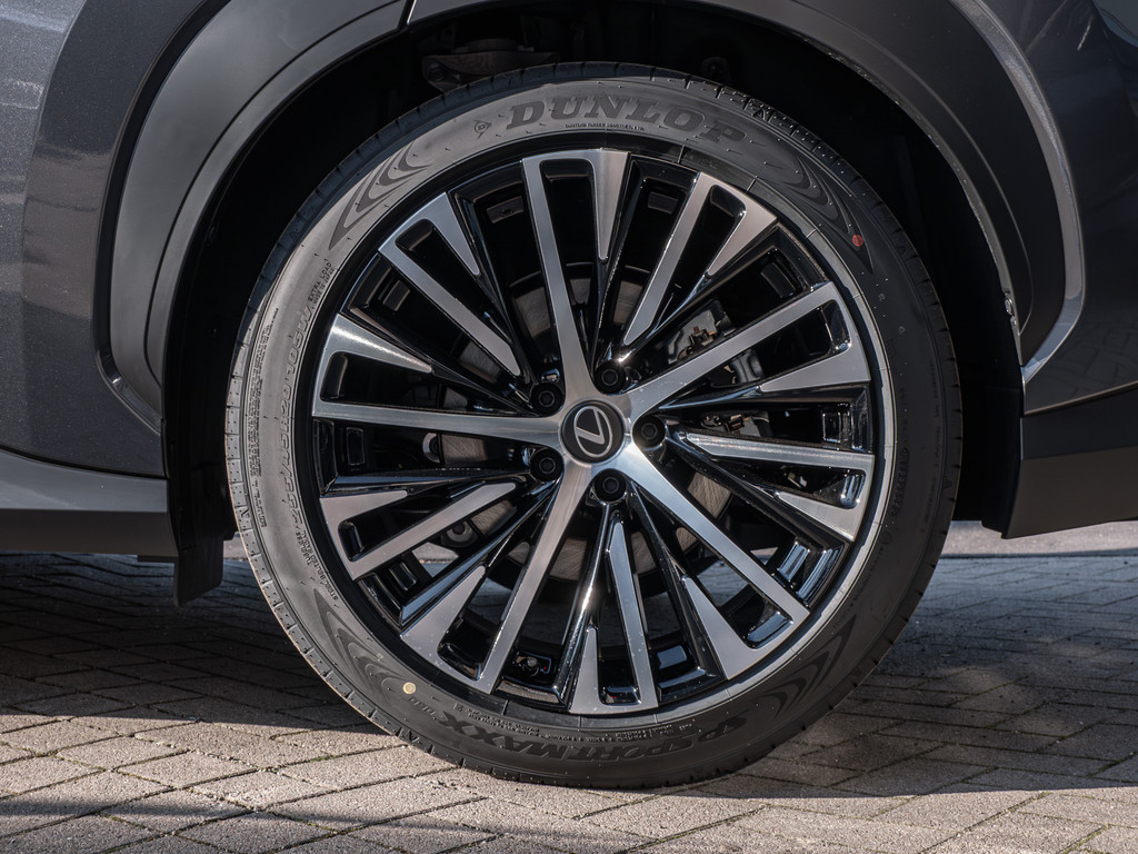 Fahrzeugansicht LEXUS RZ 500e DIRECT4 Executive - Bild 42