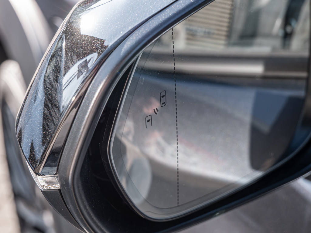 Fahrzeugansicht LEXUS RZ 500e DIRECT4 Executive - Bild 43