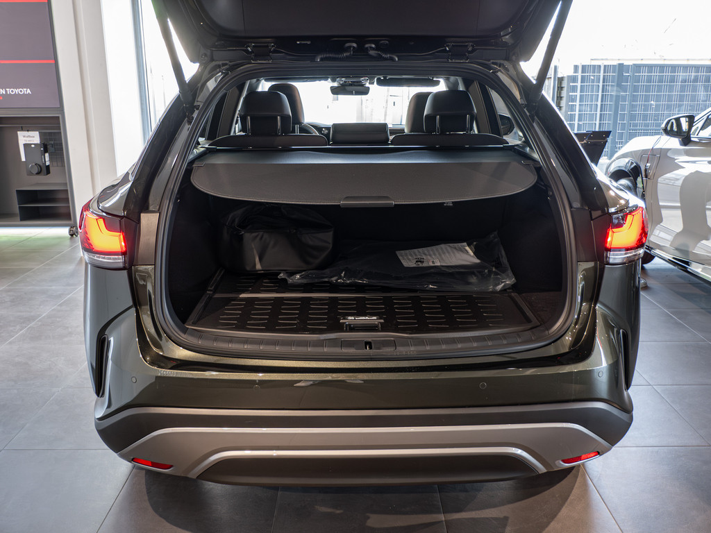 Fahrzeugansicht LEXUS RX 450h+ E-FOUR Executive Line - Bild 7