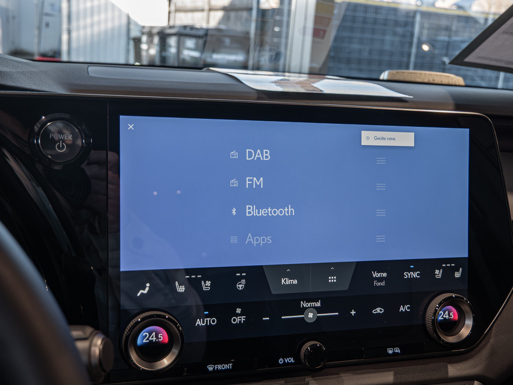 Fahrzeugansicht LEXUS RX 450h+ E-FOUR Executive Line - Bild 10