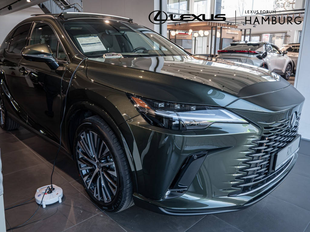 Fahrzeugansicht LEXUS RX 450h+ E-FOUR Executive Line - Bild 12