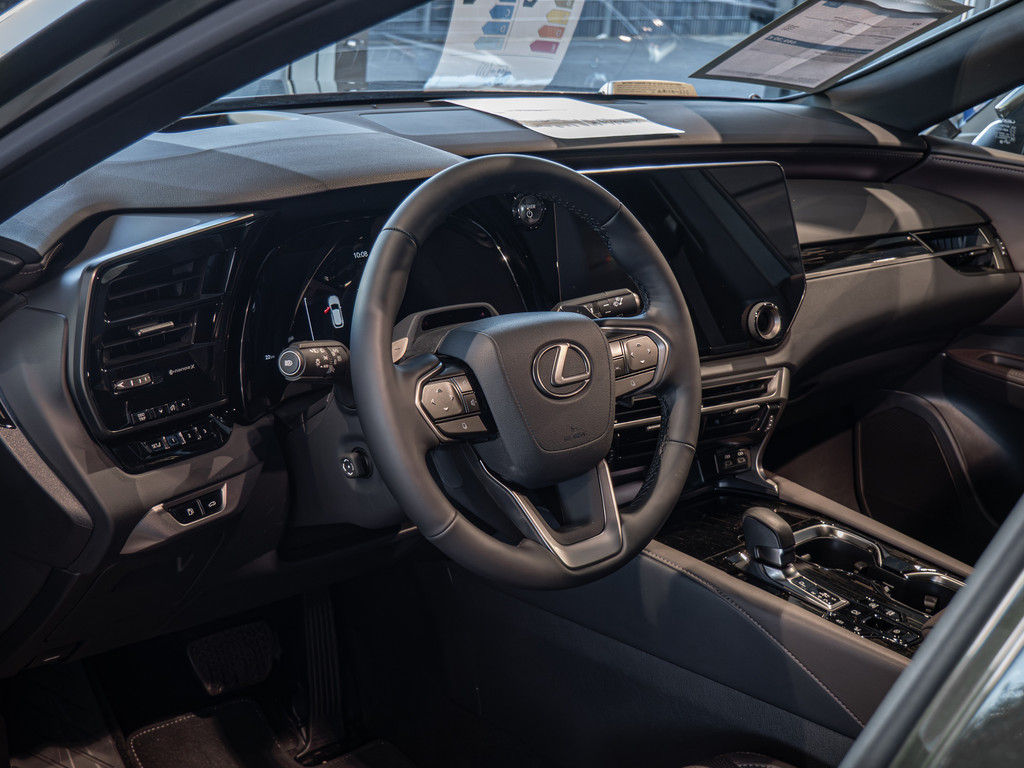 Fahrzeugansicht LEXUS RX 450h+ E-FOUR Executive Line - Bild 31