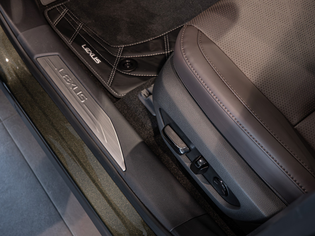 Fahrzeugansicht LEXUS RX 450h+ E-FOUR Executive Line - Bild 32