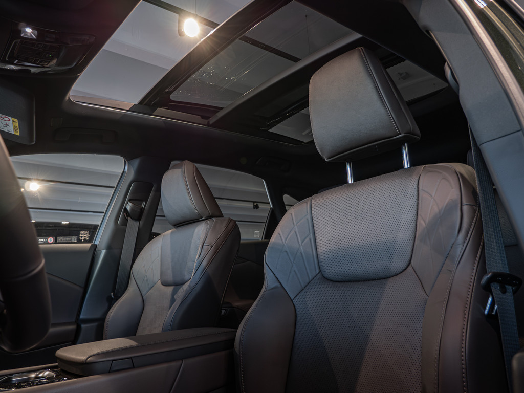 Fahrzeugansicht LEXUS RX 450h+ E-FOUR Executive Line - Bild 33