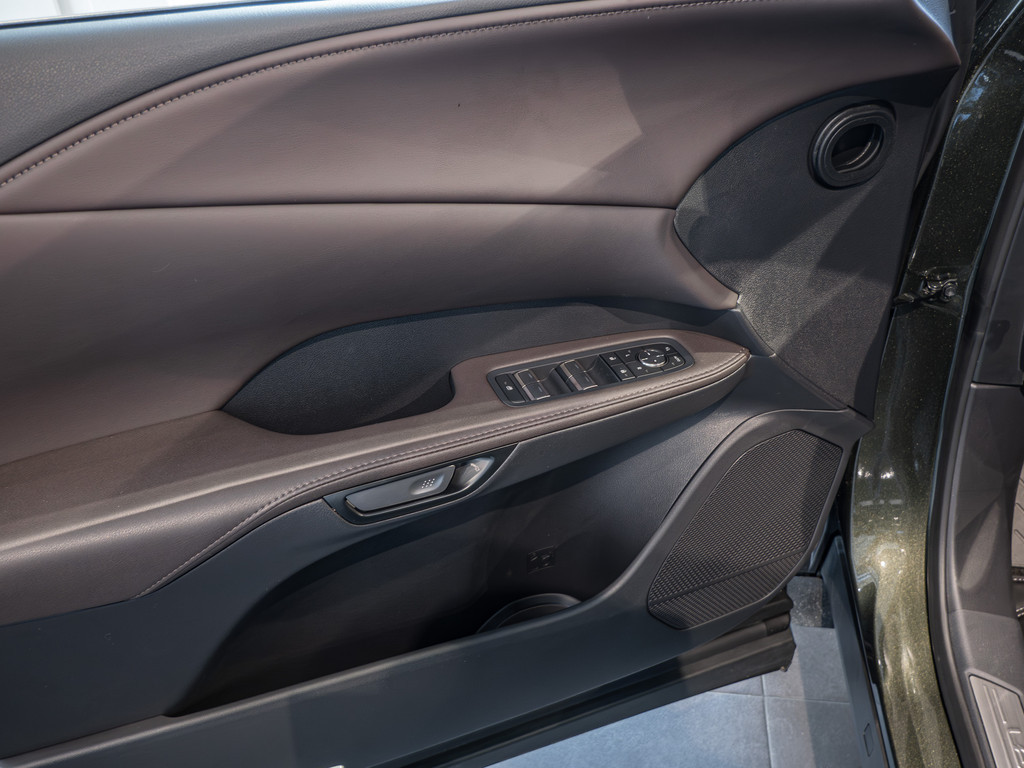 Fahrzeugansicht LEXUS RX 450h+ E-FOUR Executive Line - Bild 35