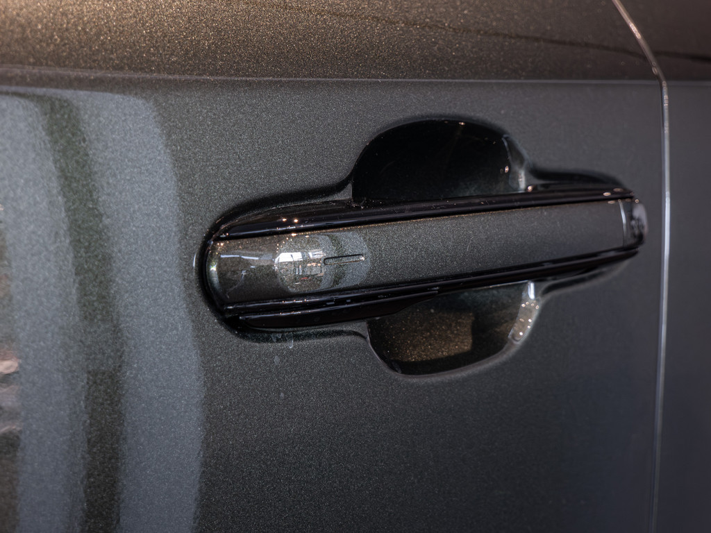 Fahrzeugansicht LEXUS RX 450h+ E-FOUR Executive Line - Bild 39